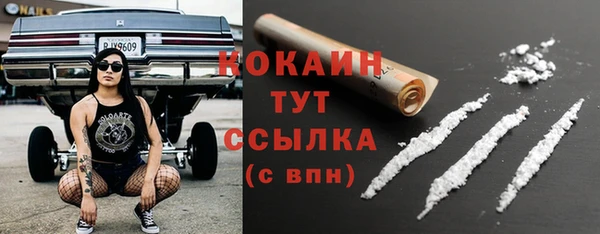 бошки Сатка