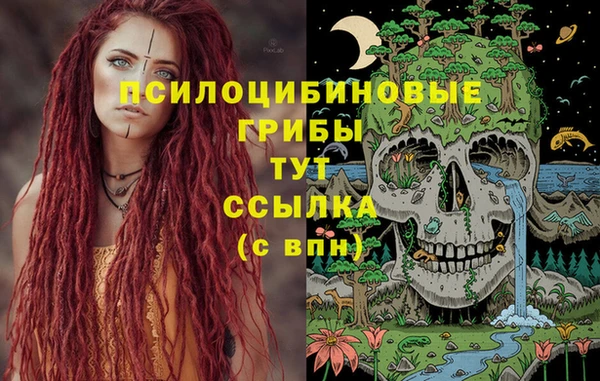 бошки Сатка