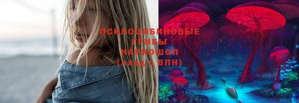 стафф Саяногорск