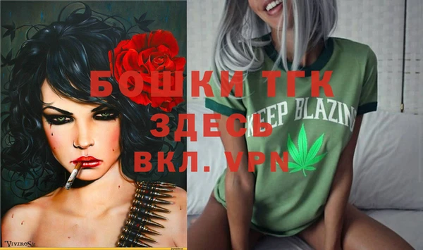бошки Сатка