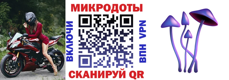 наркота  Новокузнецк  Галлюциногенные грибы Cubensis 